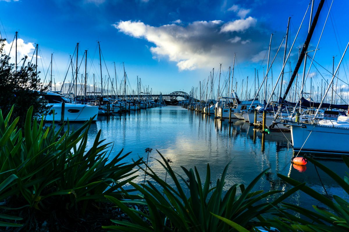 Auckland Harbour Bridge from the marina. Bridge in the distance. Rows of boats in the water.