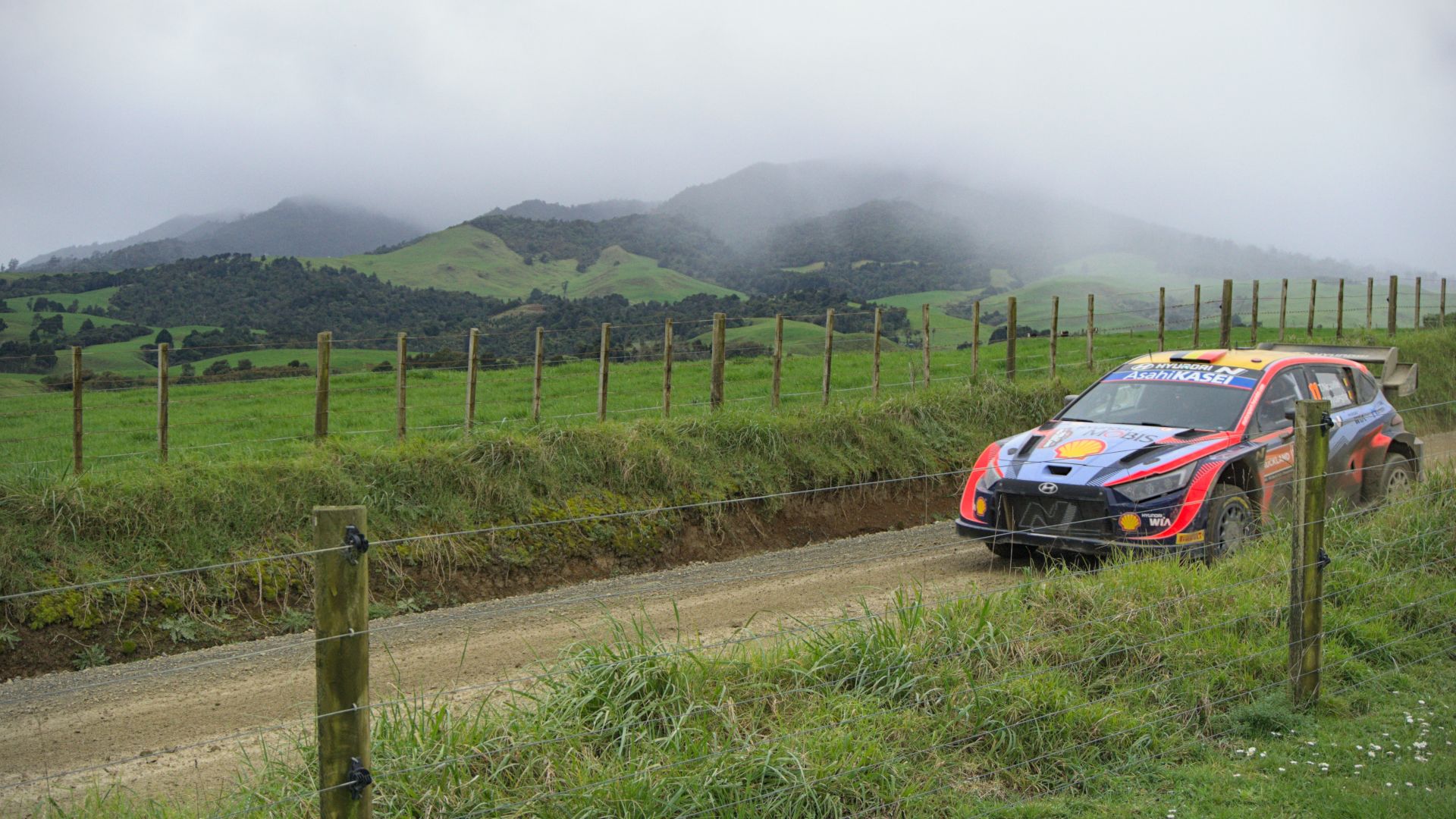 WRC Rally NZ 2022 Neuville - misty hills