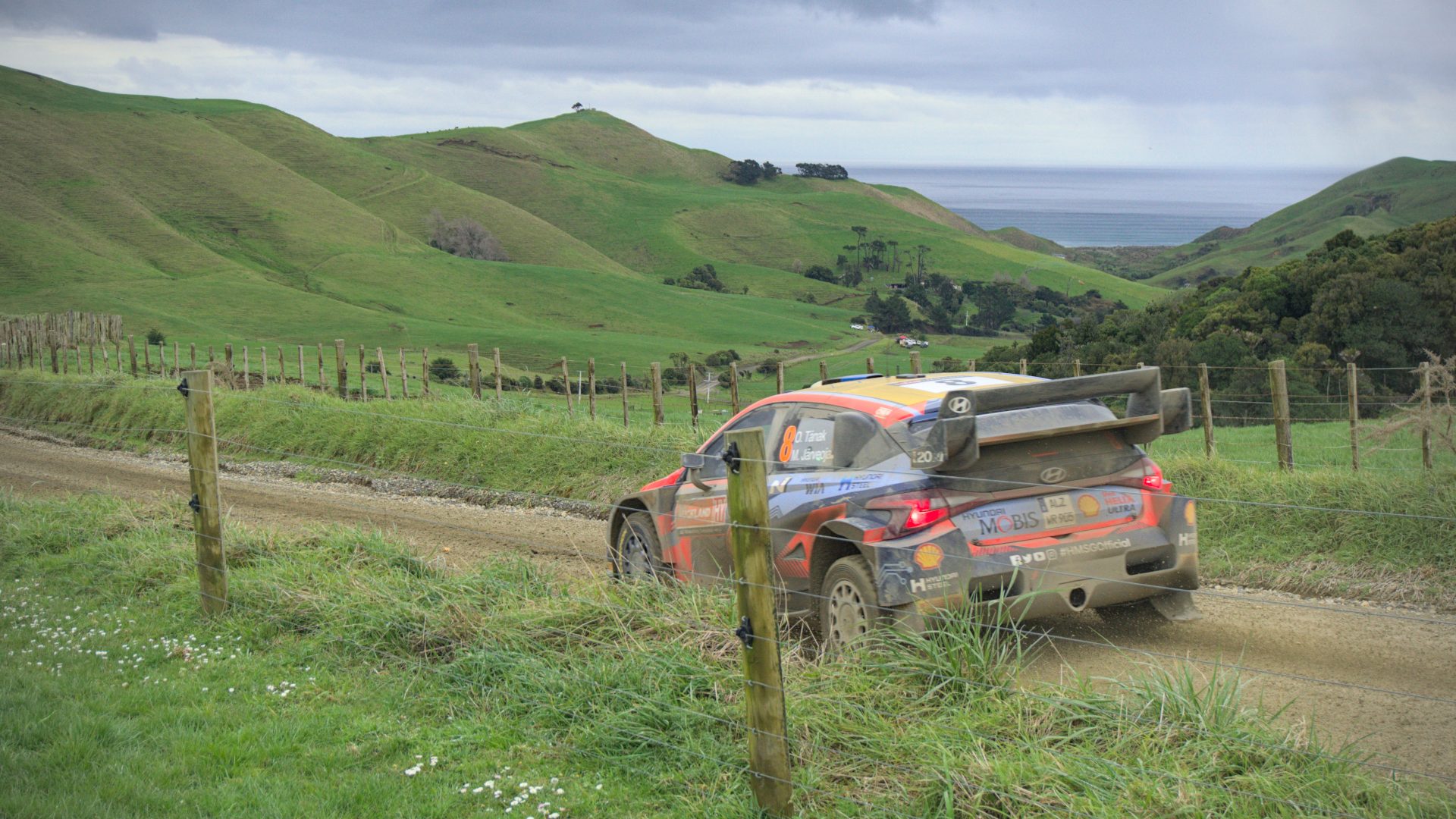 WRC Rally NZ 2022 Tanak - ocean view
