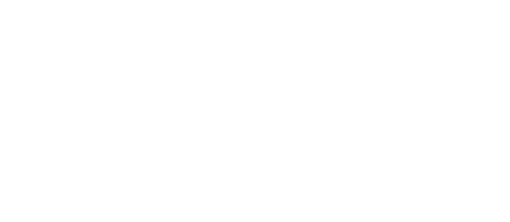 Rally NZ